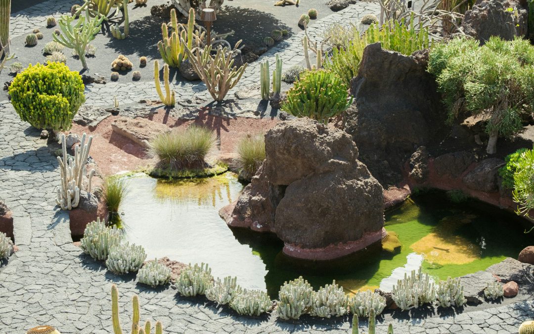 10 Elements of Landscape Design Every Homeowner Should Know